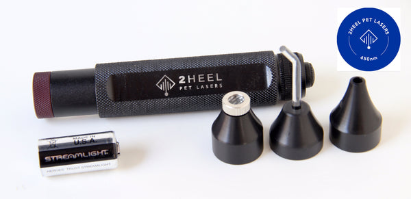 Blue pet laser with all accessaries