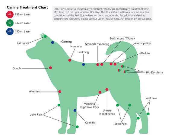 dog laser point chart