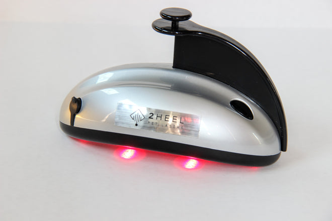 Red Vibrating Pet Laser