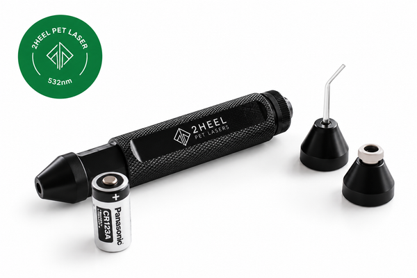 532nm Green Vet Laser for Acupuncture