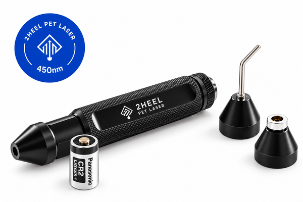 450 nm Blue Vet Laser for Acupuncture