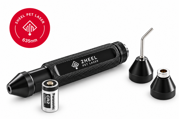 635nm Red Vet Laser for Acupunture