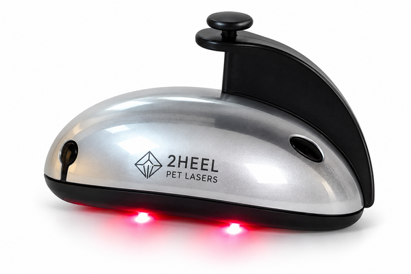 Red Vibrating Pet Laser