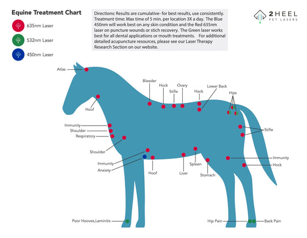 horse laser point chart